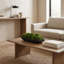 Moss Preserved in Oblong Planter-2127730664
