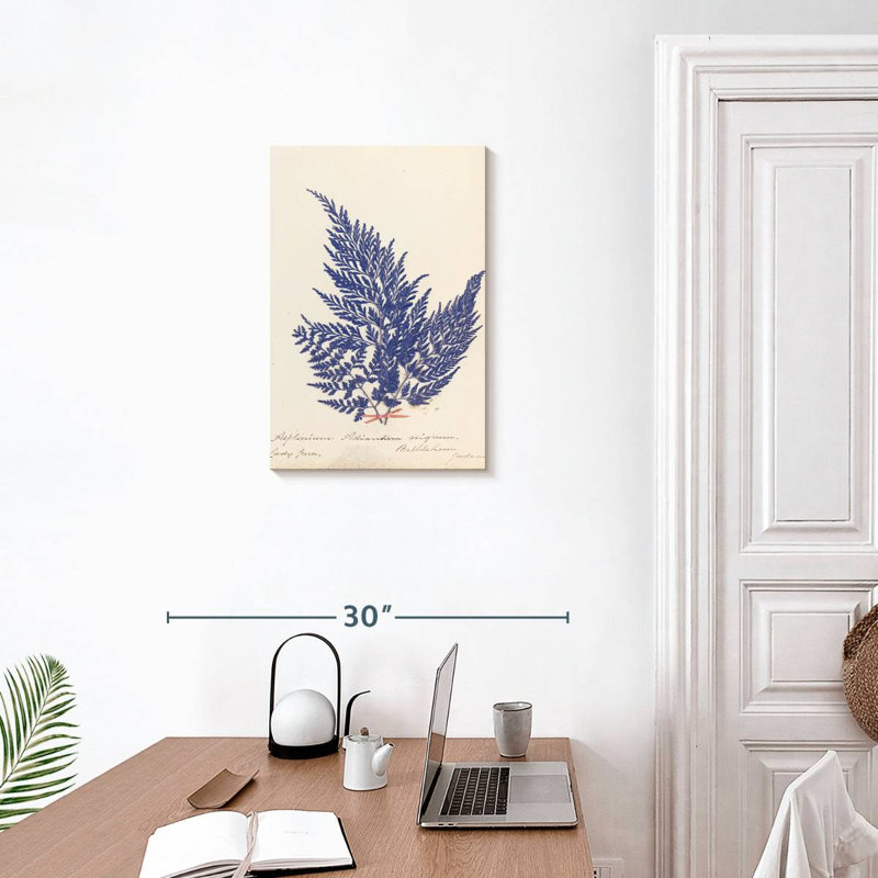 Harnek Botanical Fern II, H 24 po x l 16 po
