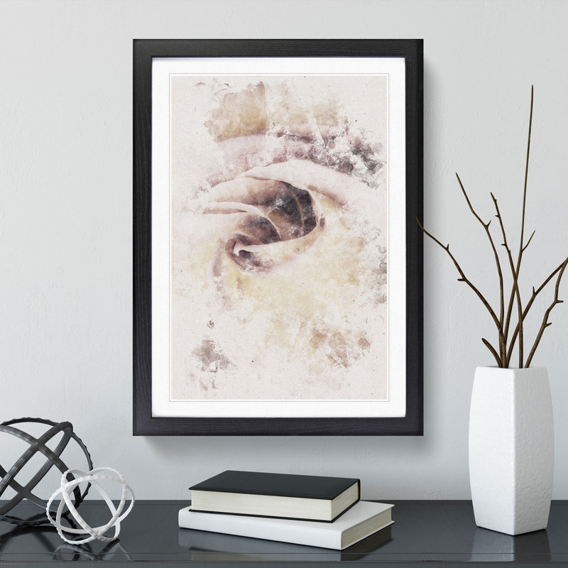 Pale Pink Rose - Framed Print, 33cm H x 24cm W x 2cm D, Black Framed