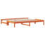 Cirillo Solid Wood-1768248563