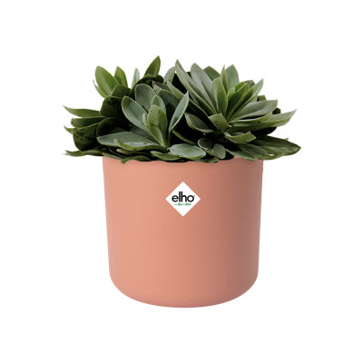 B.For Pot Planter