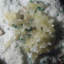 Carolinda Landscape & Nature Crystal