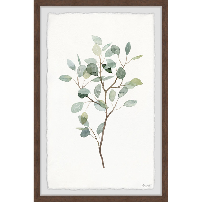 Seaglass Eucalyptus I by Marmont Hill - Single Picture Frame Painting, 91cm H x 61cm W x 3.81cm D