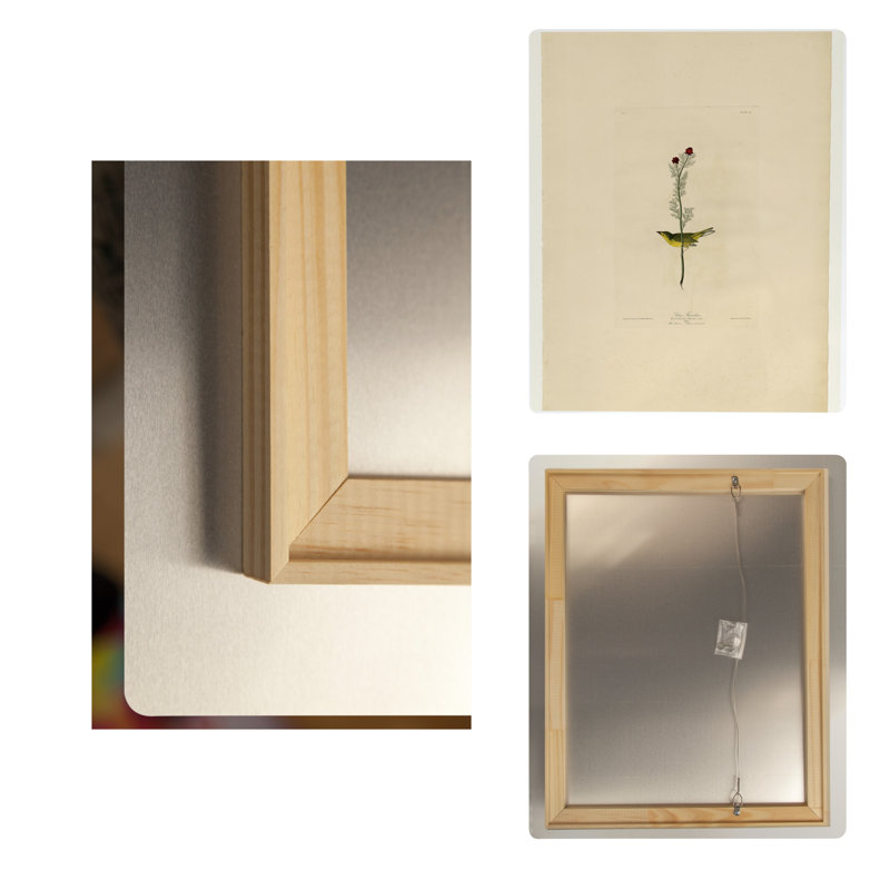 Gobemouche de Selby (Planche 9) — Portrait en métal, H 14 po x l 11 po