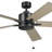 Lucian II 60'' Ceiling Fan