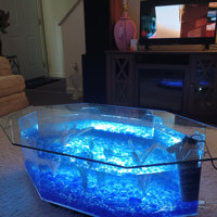 Archie & Oscar™ Claire 13-Gallon Square Fish Tank Coffee Table & Reviews -  Wayfair Canada