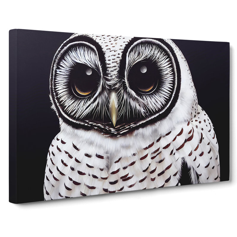 Superb Owl - Wrapped Canvas, 35cm H x 50cm W x 3cm D
