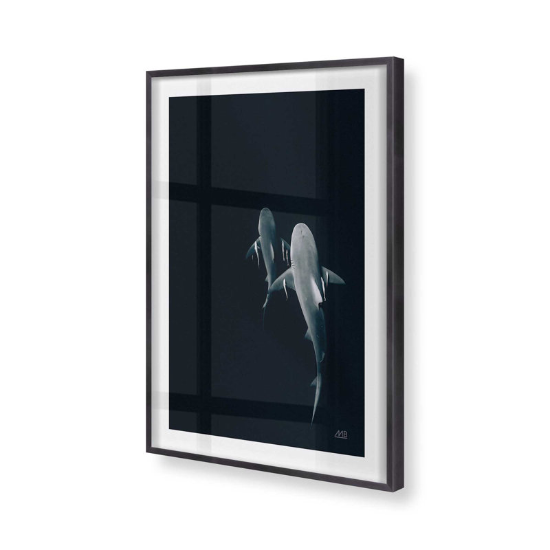 Serene Shark Shadows Print, 15.25" H x 12.25" W, Weathered Zinc