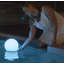Lumière DEL flottante 8 po à énergie solaire rechargeable USB