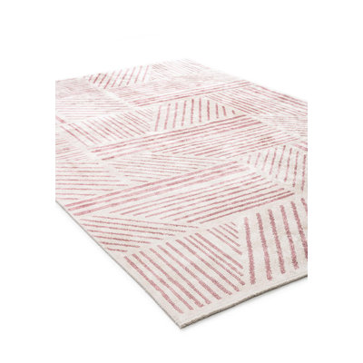 Rhamir Rectangle Geometric Cotton and Viscose Indoor / Outdoor Area Rug