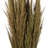 Zellmer 36'' H Preserved Plume Reed Bundle-1314829000