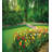 Cottage Americana Polyester Floral Duvet Cover-71651182-95053856
