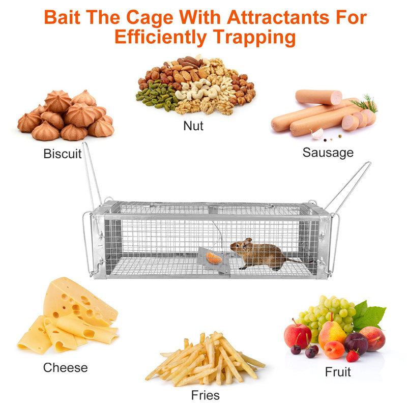 Cage à rat 16,53x6,1x4,33 po