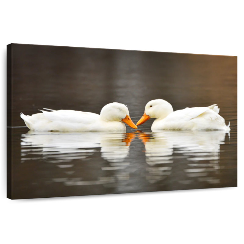 Couple de canards blancs Crowle, H 30 po x l 45 po
