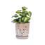 Handmade Ceramic Planter Set Of 2, 8" & 6" Diameter, Beige With Vertical Stripes & Oval Holes, For Orchids & Herbs Indoor/Outdoor Shelf & Table Use, Breathable Clay-943545268