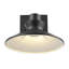Luminaire de grange d'extérieur intégré à DEL H 7,68 po Harris Matte Harris