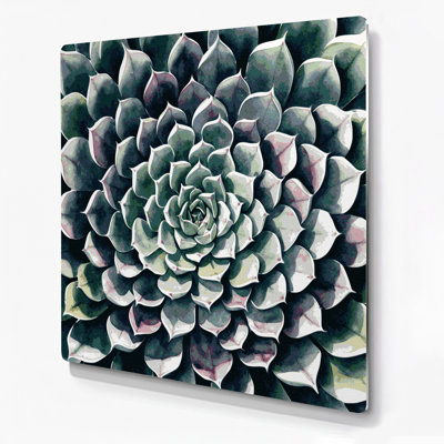 Art mural botanique gris Echeveria