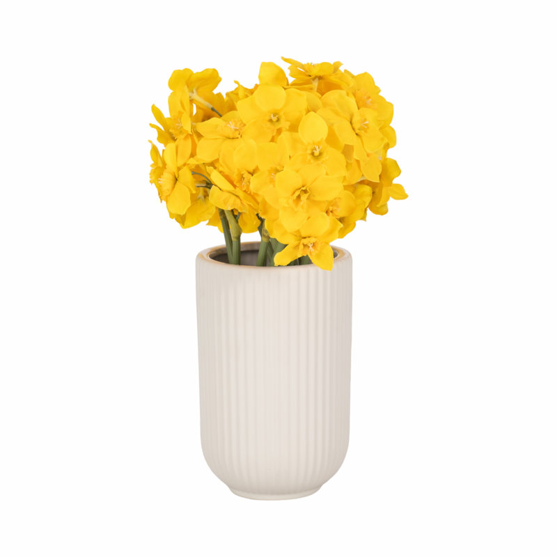 Zed Ribbed Ceramic Handcrafted Watertight Table Vase, 7" H x 5" W x 5" D, White