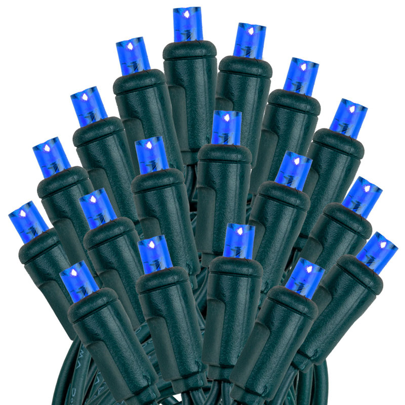 Guirlande lumineuse 100 lumières, Bleu