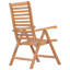 Francisco Outdoor Teak Dining Armchair