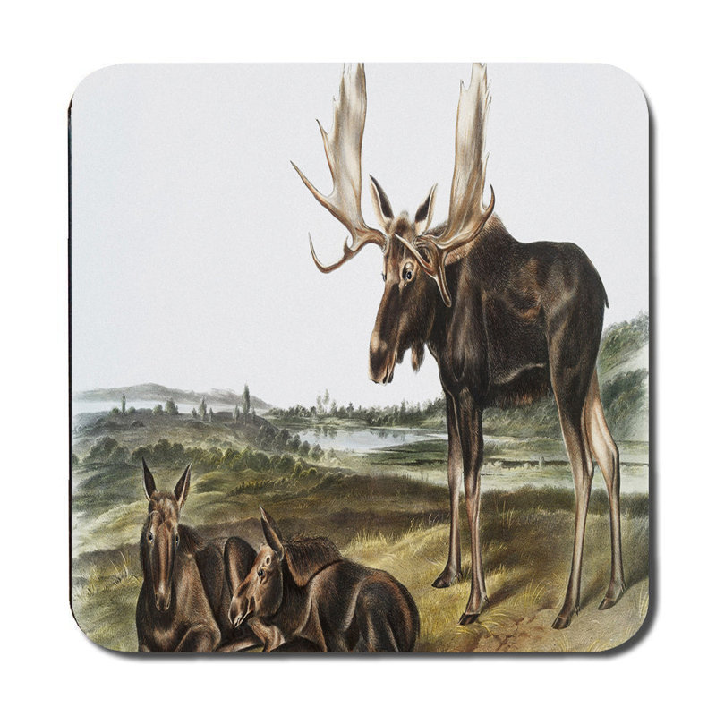 Moose Themed Placemat And Coaster Set With Wildlife Scene