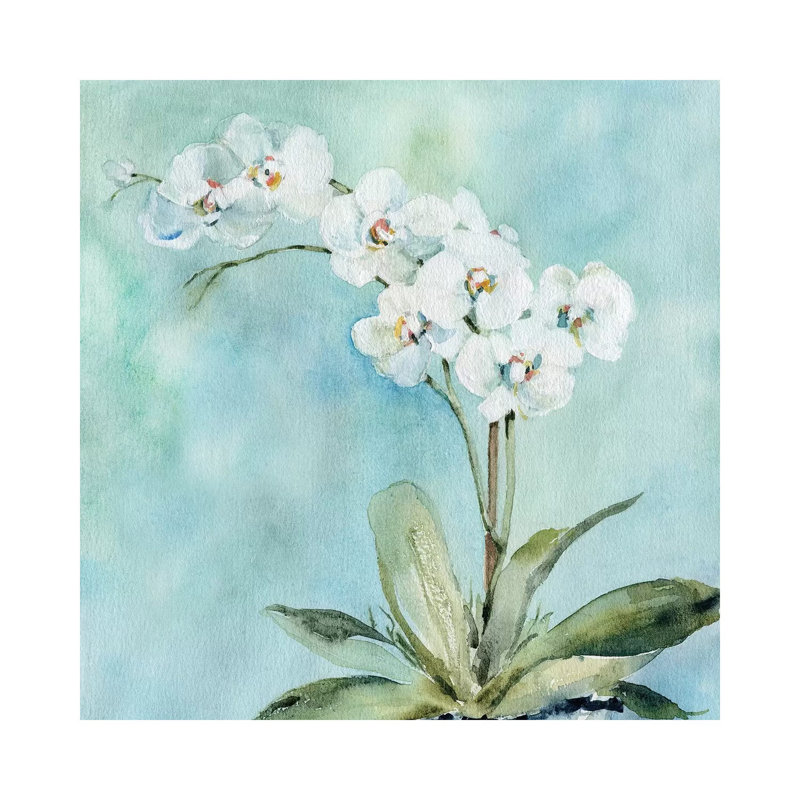 Orchidée ensoleillée par Carol Robinson-impression, Pas de tapis, Toile tendue, H 12 po x l 12 po x P 1,5 po
