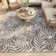 Almer Floral Indoor / Outdoor Rug