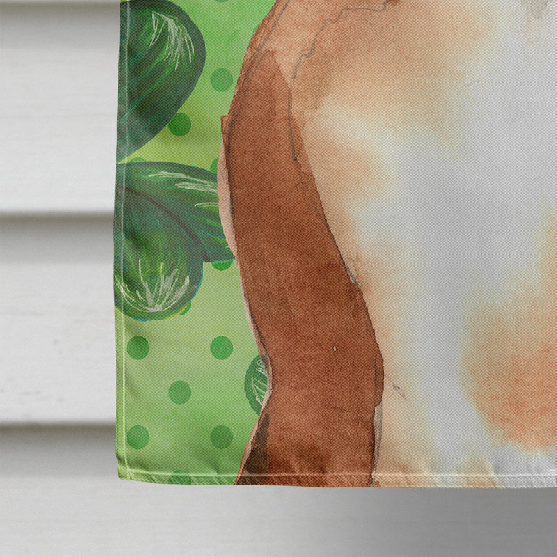 40 x 28 po en polyester à 2 côtés de la st patrick drapeau maison, Brun / blanc boxer