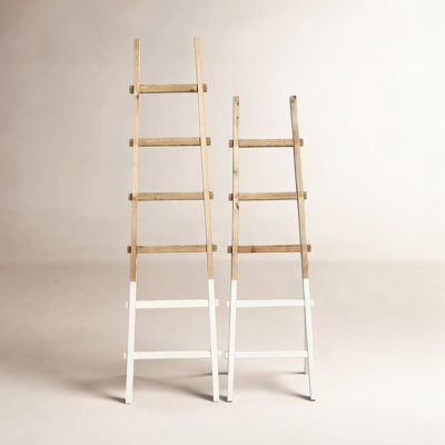 Dipped 6 ft Blanket Ladder