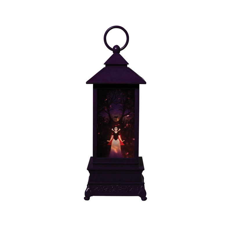 Lanterne illuminée en forme de neige avec vitrine Disney