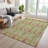 Machine Washable Indoor/Outdoor Gursevak ACN2251 Global Rug-517157150