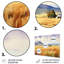 Ensemble de 4 décorations murales prairies jaunes du Wyoming