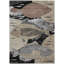 Tapis côtier intérieur / extérieur lavable à la machine ACN2447-1923146119-1923146127