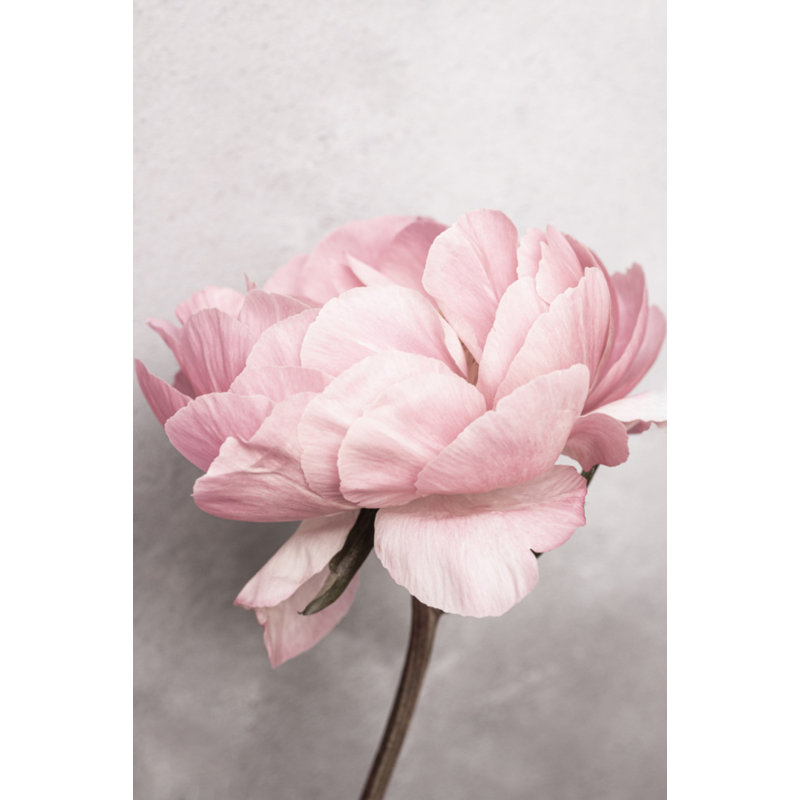 Wrapped Canvas Print, 76.2 cm H x 50.8 cm W