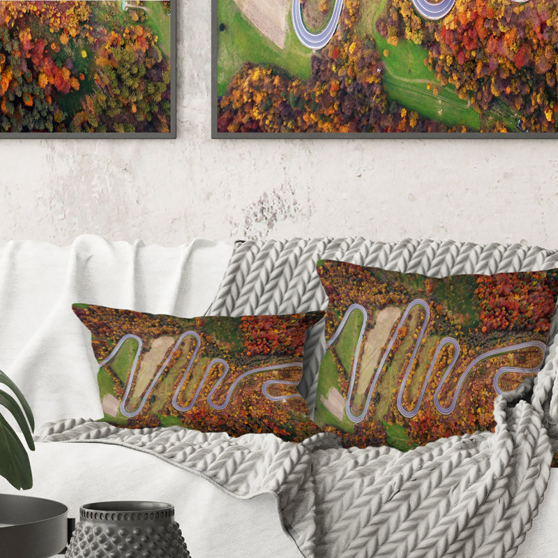 Vue aérienne de la route sinueuse dans un paysage d'automne - coussin décoratif traditionnel imprimé, 16 po x 16 po