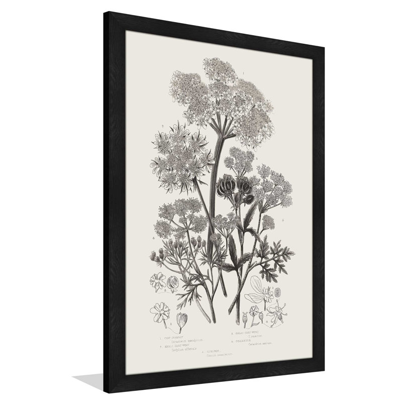 Plantes à fleurs VI neutre - Peinture, L 27,5 po x H 39,5 po, Cadre noir