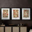 Ensemble de 3 pièces de la collection de pièces de luxe de la collection de pièces de monnaie de la collection Wm - 38 pièces-687470657-687470663