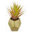 8'' Faux Plant in Ceramic Pot
