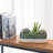 Kanden Pot Planter