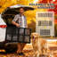 Rampe pliante pour chien