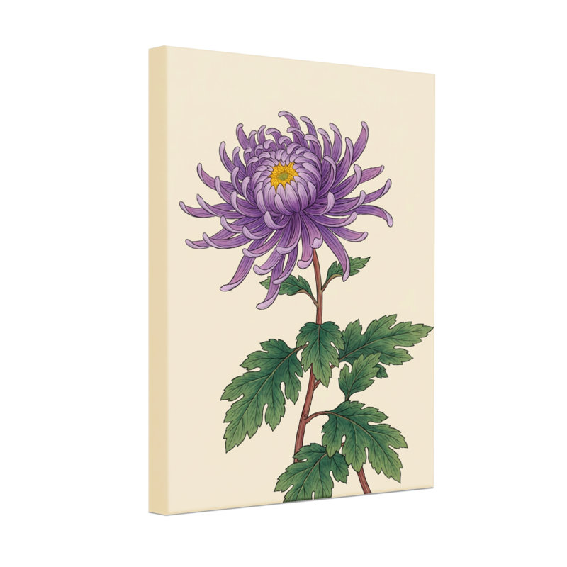 Plantes et fleurs - Chrysanthème mauve avec feuilles vertes, H 18 po x l 12 po
