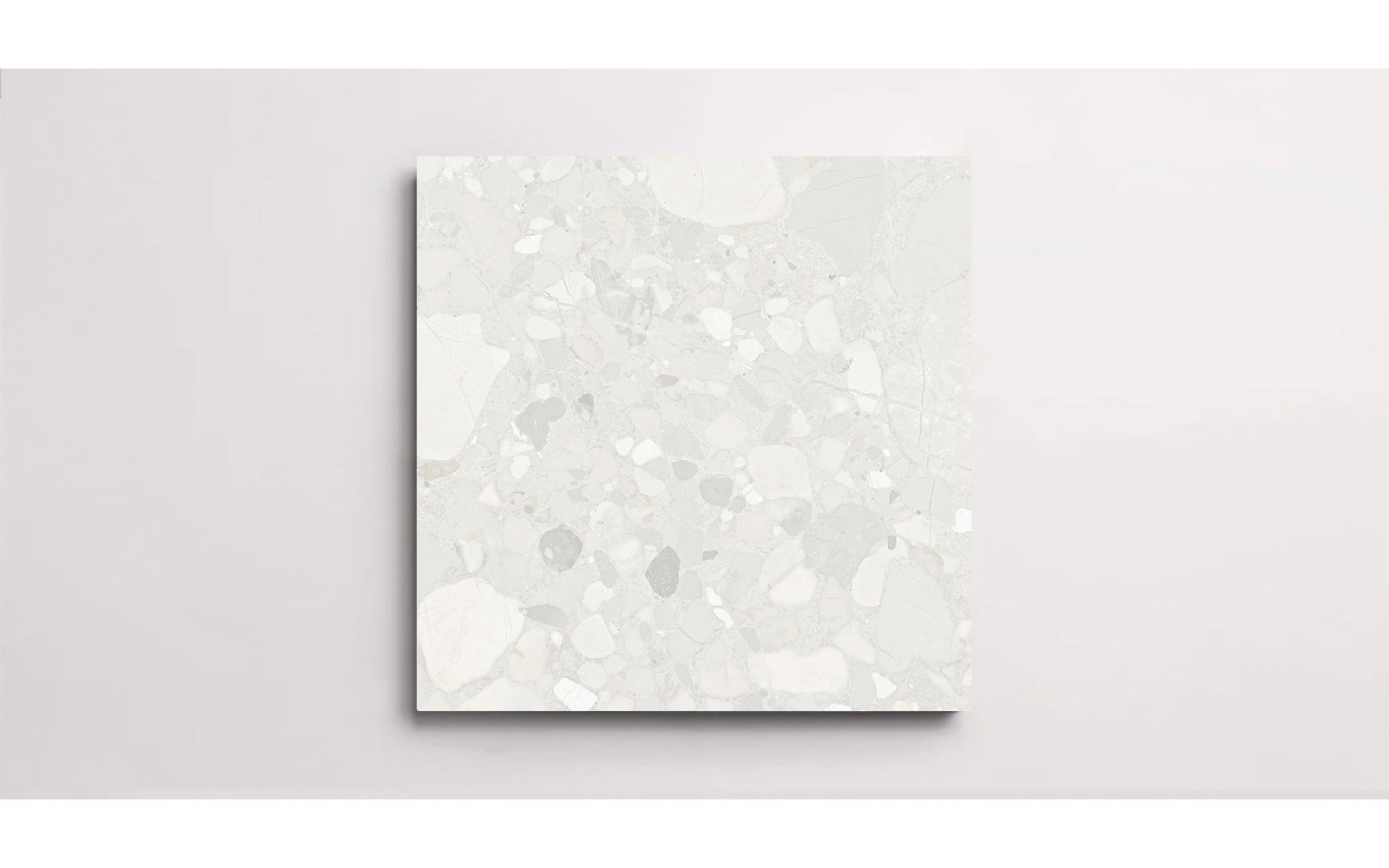 Dorado 24" x 24" Matte Tile, Bianco
