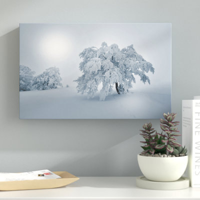 «A Cold Winter Morning» par Philippe Sainte-Laudy - reproduction de photo sur toile tendue