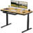 Landaverde 55"x28" Dual Motors Height Adjustable Standing Desk Wireless Charging with Drawer-217276357-205472701