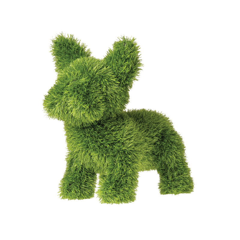 Topiaire Frenchi 14 po