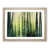 Oak Framed