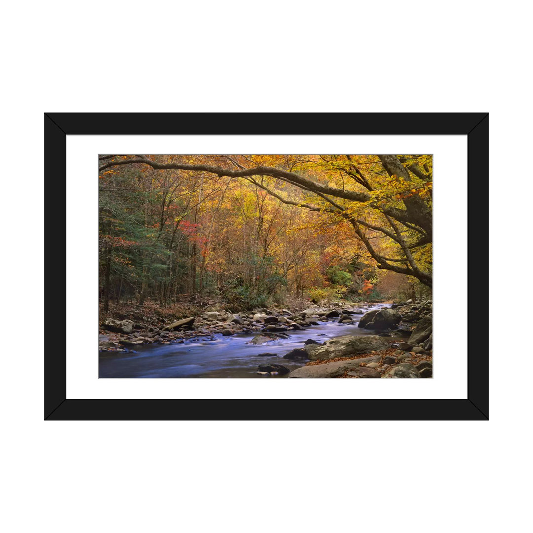 " Little River Flowing Through Autumn Forest, Great Smoky Mountains National Park, Tennessee " by Tim Fitzharris East Urban Home 