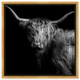 Realistic Black And White Highland Cow Photography Print by Oliver Gal