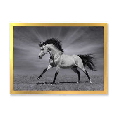 " Galopping Chestnut Horse "