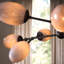 Celeste Chandelier